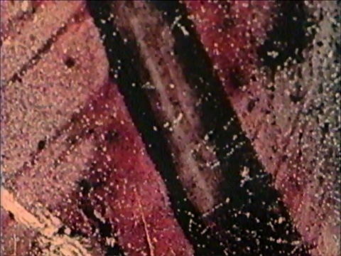 Handpainted film in "And--", by Dorothy Fowler & Margaret Roberts