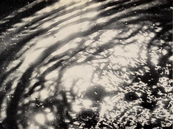 H2O, in Close Up, Feb. 1930, 30.
